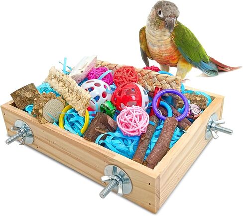 BNOSDM Bird Foraging Toys Box Colorful Parrot Foraging and Shredding Toy Boxes Natural Bird Toy Wooden Birds Chewing Toys for Parakeet, Conure, Cockatiel, Budgies, Lovebirds (Small) in Saudi Arabia