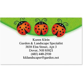 Colorful Images Class Time Teacher Personalized Business Cards - 2" x 3 1/2", 250 Single Sided Custom Teacher Card Set Printed on Heavy 80# Cover Paper Stock, Opaque Matte Finish in Saudi Arabia