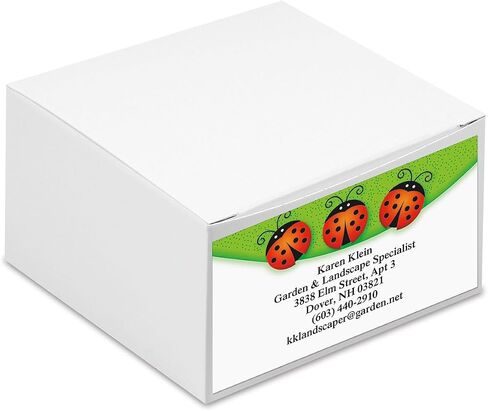 Colorful Images Class Time Teacher Personalized Business Cards - 2" x 3 1/2", 250 Single Sided Custom Teacher Card Set Printed on Heavy 80# Cover Paper Stock, Opaque Matte Finish in Saudi Arabia