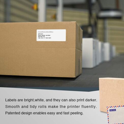 BETCKEY - Compatible with Dymo 30321 (1-4/10" x 3-1/2", Removable) Large Address Labels, Compatible for Dymo LabelWriter Thermal 450, 4XL & Zebra Desktop Printers [1 Roll, 260 Labels, Removable] in Saudi Arabia