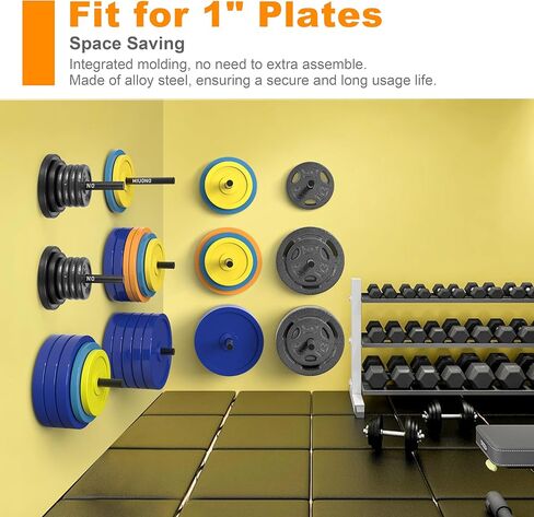 Weight Plate Holder, Wall Mounted Weight Rack Storage for 2" Olympic Weight Plate, 4 Pack Home Gym Organizer (Upgraded Larger Screws) in Kuwait