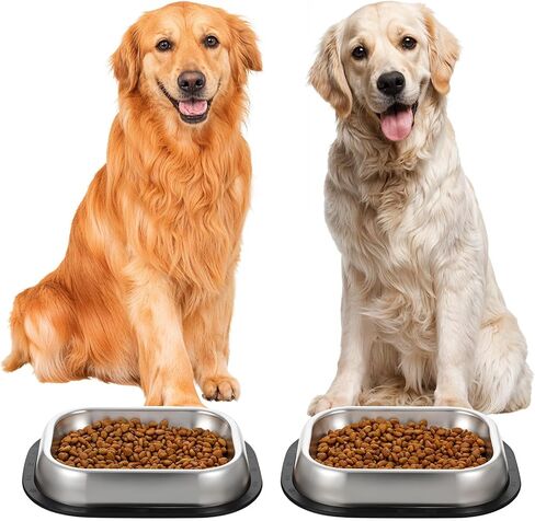 2 Pcs Stainless Steel Metal Food Dishes, Stainless Steel Dog Cat Bowls with Non-Skip Base, Shallow Dogs Food Bowls, Feeder Dogs Bowl Water Bowl, for Small/Med Sized Cat Dog in Saudi Arabia
