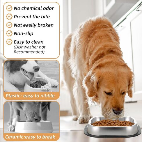 2 Pcs Stainless Steel Metal Food Dishes, Stainless Steel Dog Cat Bowls with Non-Skip Base, Shallow Dogs Food Bowls, Feeder Dogs Bowl Water Bowl, for Small/Med Sized Cat Dog in Saudi Arabia