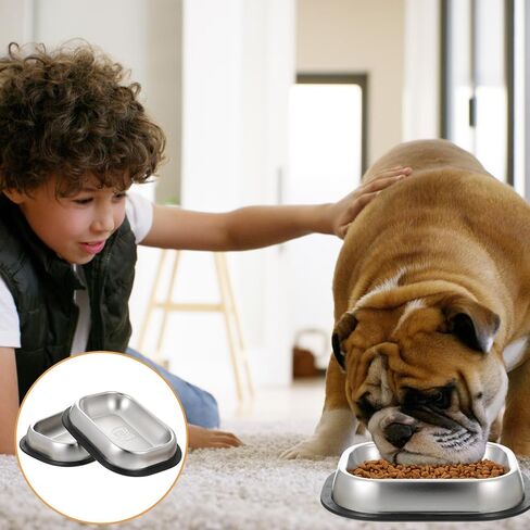 2 Pcs Stainless Steel Metal Food Dishes, Stainless Steel Dog Cat Bowls with Non-Skip Base, Shallow Dogs Food Bowls, Feeder Dogs Bowl Water Bowl, for Small/Med Sized Cat Dog in Saudi Arabia