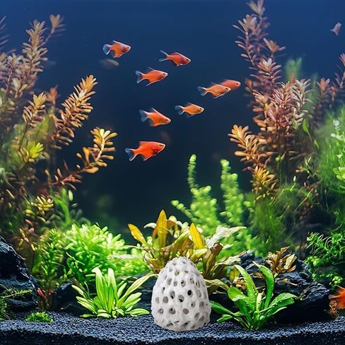 يختبئ الروبيان لنفق خزان أسماك السمك البلاستيكي من حوض السمك مع كوب الشفط ، Betta Habitat Cave Shelter Hideout للروبيان غوبي يختبئ الراحة in Kuwait