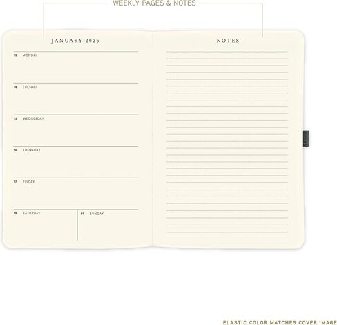 Graphique 2026 Apollo Business Planner | 18 Month Organizer, July 2025 - Dec. 2026 | Weekly & Monthly Spreads | To-Do List & Note Pages | Pen Loop | Vegan Leather | Sage Peanuts Typewriter | 6" x 8" in Kuwait