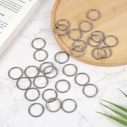 30pcs Key Rings Bulk, 1in Stainless Steel Split O Hoops Dog Tag Rings for Pet Collar Split Keyrings Practical Key Loop Attachment for Jewelry Making Car Keys Crafts DIY(Silver) in Saudi Arabia