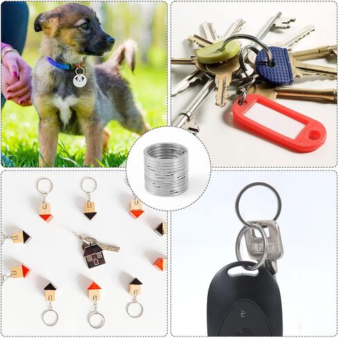 30pcs Key Rings Bulk, 1in Stainless Steel Split O Hoops Dog Tag Rings for Pet Collar Split Keyrings Practical Key Loop Attachment for Jewelry Making Car Keys Crafts DIY(Silver) in Saudi Arabia