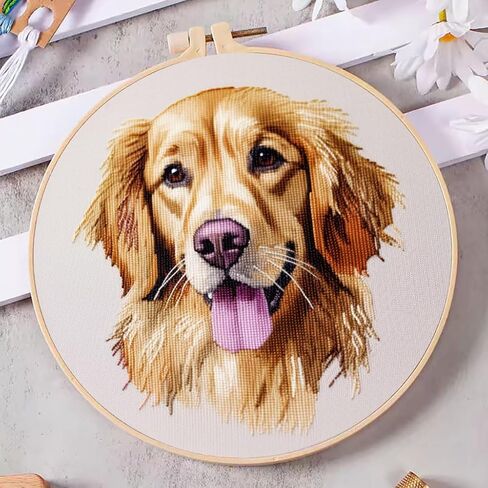 DIY Cross Stitch Kits Golden Retriever Easy for Beginners with Hoop 11CT Needlepoint Embroidery Counted Stamped Cross Stitch Set Craft Wall Decor 20x20cm(1) in Saudi Arabia