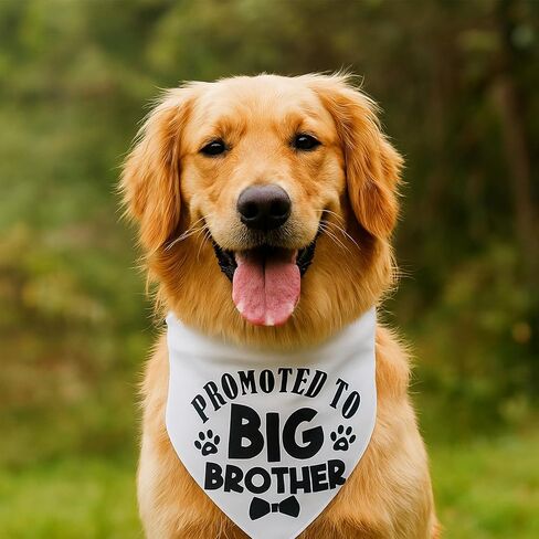 Big Brother Dog Bandana ، تمت ترقيته إلى Big Brother Bandana للكلاب مثلث الطباعة الكلاسيكية إكسسوارات وشاح للحيوانات الأليفة in Saudi Arabia
