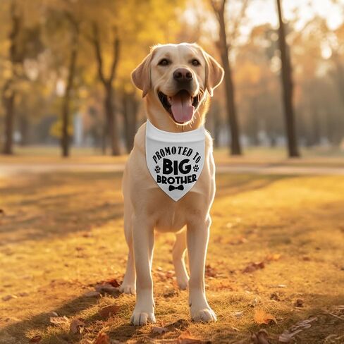 Big Brother Dog Bandana ، تمت ترقيته إلى Big Brother Bandana للكلاب مثلث الطباعة الكلاسيكية إكسسوارات وشاح للحيوانات الأليفة in Saudi Arabia