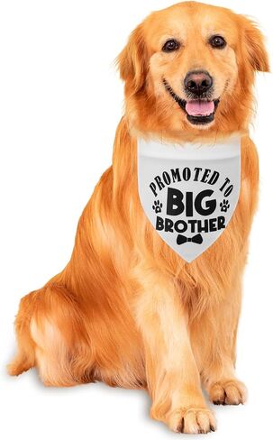 Big Brother Dog Bandana ، تمت ترقيته إلى Big Brother Bandana للكلاب مثلث الطباعة الكلاسيكية إكسسوارات وشاح للحيوانات الأليفة in Saudi Arabia