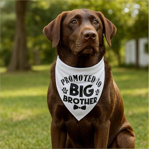 Big Brother Dog Bandana ، تمت ترقيته إلى Big Brother Bandana للكلاب مثلث الطباعة الكلاسيكية إكسسوارات وشاح للحيوانات الأليفة in Saudi Arabia