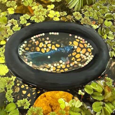 Aquarium Floating Betta Fish Log, Hide Tunnel and Hammock Toy, Small Fish Or Shrimp Hide Resting Cave, Floating Feeder, Feeding Ring, Tank Accessories Decoration (Gradient Color) in Saudi Arabia