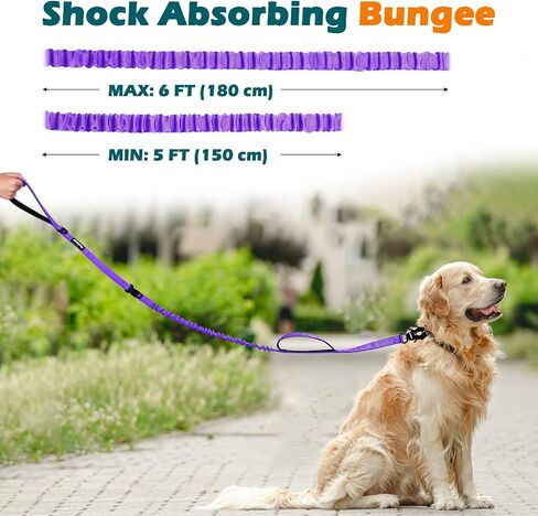 PetBonus Heavy Duty Tactical Dog Leash, 5 FT Bungee Shock Absorption Leash with 2 Padded Handles, Quick Release Metal Clip, Car Seatbelt, No Pull Training Lead for Large Medium Dogs (Black) in Kuwait