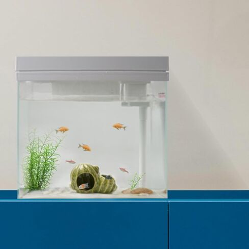 ديكور أكواريوم كهف بيتا أسماك السمك الملحقات الحلي الصبار البيت مخبأ للروبيان cichlid الناس in Kuwait