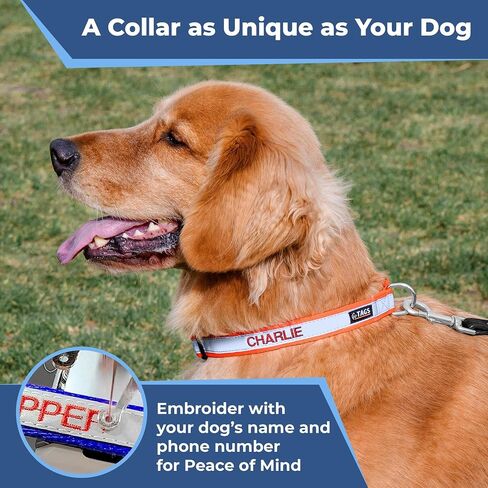 GoTags Reflective Dog Collar Personalized, Custom Embroidered Pet Name and Number, Premium Nylon Colorful for Girl and Boy Dogs, Small Medium and Large Adjustable Sizing in Saudi Arabia