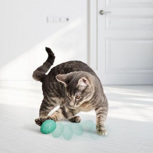 Kong Infused Catnip Egg Spring/Easter Cat Toy-لعبة متذبذبة ومتداول Catnip المملوءة بملعب للعب | متينة للمتعة المنفردة والمتعددة القطط in Saudi Arabia