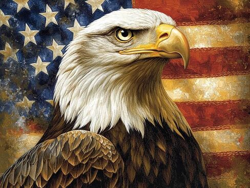 Bald Eagle with American Flag Preprinted 11CT Cross Stitch Kits for Beginners & Adults - Easy Needlepoint Patterns for Home Decor & Craftings 505 in Saudi Arabia