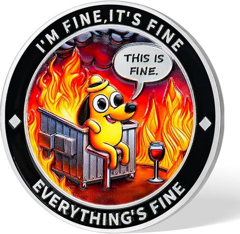 Fire Memento Mori Challenge Coin عملة إلهام فكاهية مع هذا الكلب الرفيع والهيكل العظمي المحمص للمرونة (قطعة واحدة) in Kuwait