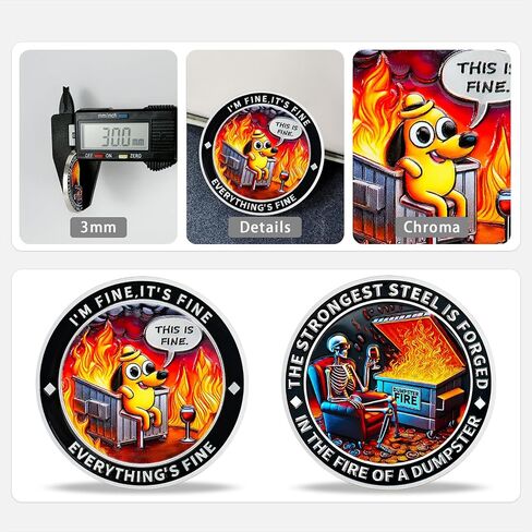 Fire Memento Mori Challenge Coin عملة إلهام فكاهية مع هذا الكلب الرفيع والهيكل العظمي المحمص للمرونة (قطعة واحدة) in Kuwait