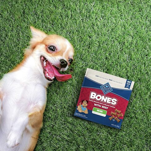 Blue Buffalo Bones Natural Crunchy Dog يعامل Mini Dog Biscuits لحوم البقر ، 12 أوقية. حقيبة ، 4 عدد in Saudi Arabia