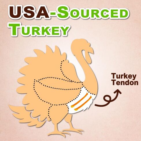A Freschi srl® All-Natural Turkey Tendon for Dogs, Rope (M), 2 Count in Saudi Arabia