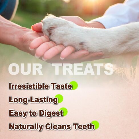 A Freschi srl® All-Natural Turkey Tendon for Dogs, Rope (M), 2 Count in Saudi Arabia