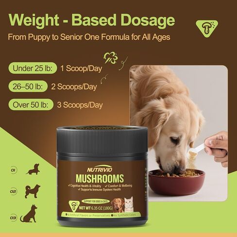 Turkey Tail Mushroom for Dogs & Cats - Mushroom Supplement for Lumps and Bumps - Immune Support for Dogs,8 Organic Mushroom Blend with Natural Plant Extracts,6.35oz in Saudi Arabia