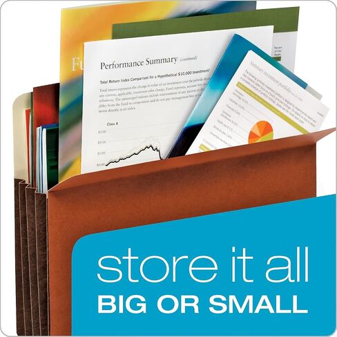 Globe-Weis/Pendaflex Tyvek File Pockets 3.5-Inch Expansion Legal Size 10-Count, Brown (64264) in Saudi Arabia