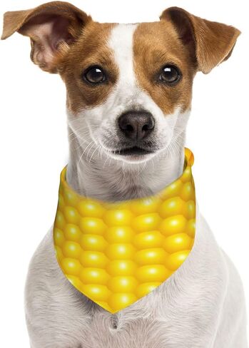 Fresh Ripe Corn Cobs Pattern Dog Scarf Bandana, Triangle Bibs Cats Dog Costume Accessories Decor for Pet in Kuwait