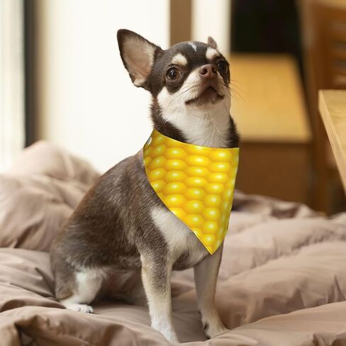 Fresh Ripe Corn Cobs Pattern Dog Scarf Bandana, Triangle Bibs Cats Dog Costume Accessories Decor for Pet in Kuwait
