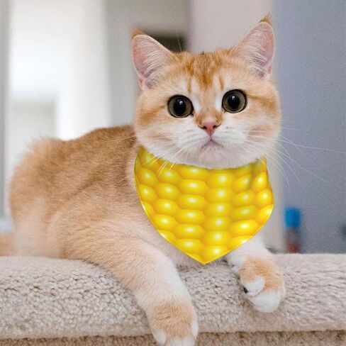 Fresh Ripe Corn Cobs Pattern Dog Scarf Bandana, Triangle Bibs Cats Dog Costume Accessories Decor for Pet in Kuwait