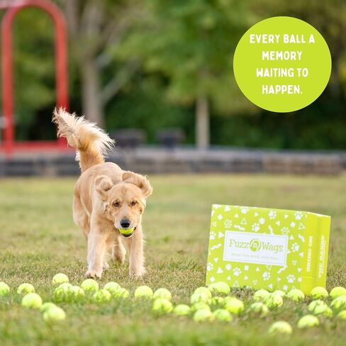 25-100 Bulk Used Tennis Balls for Dogs, Support USA Tennis Ball Recycling NonProfit: Bulk Tennis Balls for Dogs in Saudi Arabia