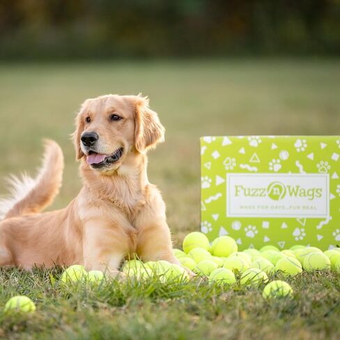 25-100 Bulk Used Tennis Balls for Dogs, Support USA Tennis Ball Recycling NonProfit: Bulk Tennis Balls for Dogs in Saudi Arabia