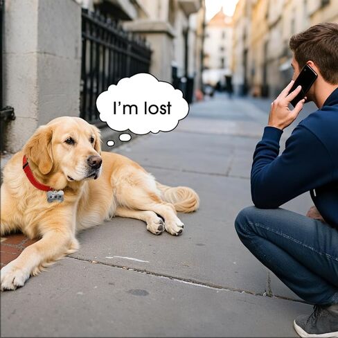 Stainless Steel Pet Tag | Easy-to-use Tag with QR Code | Modifiable Pet Online Profile | Emergency Contacts | No Subscription or Fees | Laser Engraved & Clear | Waterproof & Durable in Kuwait