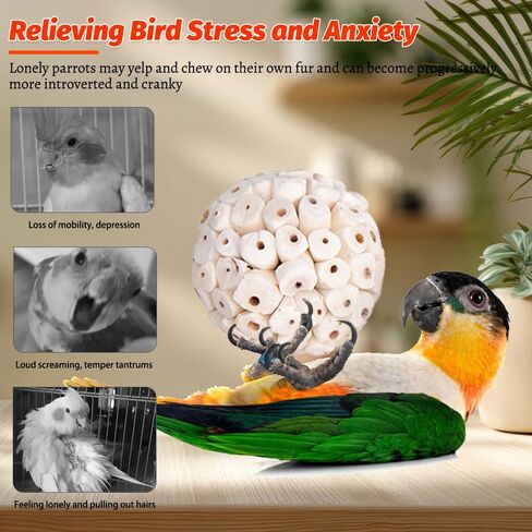6 عبوة Bird Toy Sola Balls ، Parrot Norture Puck Phetmding & Fraging Toy ، كرات قدم الطيور لكوكاتيل كونور بودجي ببناء أرنب غينيا خنزير شينشيلا أرنب in Kuwait