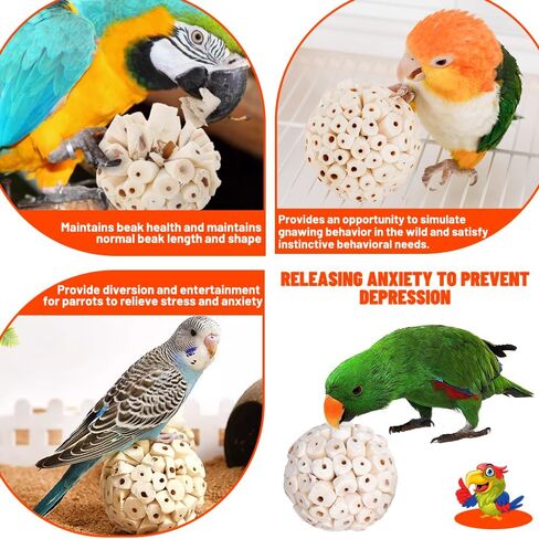 6 عبوة Bird Toy Sola Balls ، Parrot Norture Puck Phetmding & Fraging Toy ، كرات قدم الطيور لكوكاتيل كونور بودجي ببناء أرنب غينيا خنزير شينشيلا أرنب in Kuwait