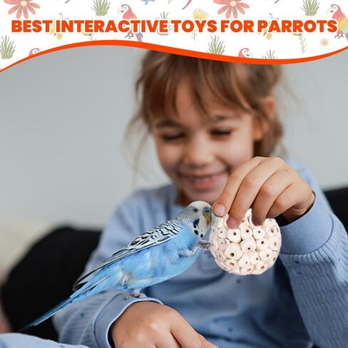 6 عبوة Bird Toy Sola Balls ، Parrot Norture Puck Phetmding & Fraging Toy ، كرات قدم الطيور لكوكاتيل كونور بودجي ببناء أرنب غينيا خنزير شينشيلا أرنب in Kuwait