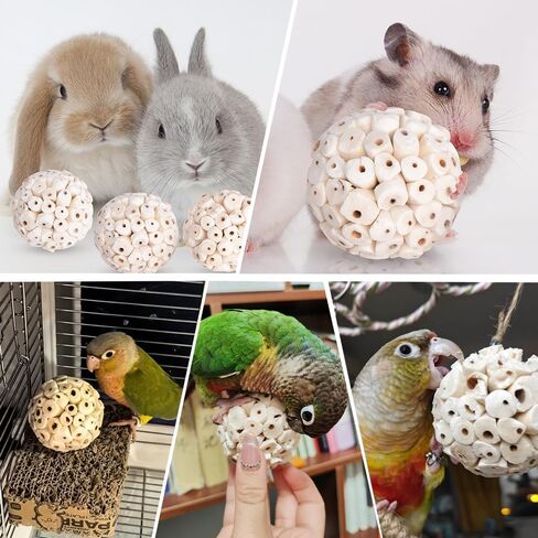 6 عبوة Bird Toy Sola Balls ، Parrot Norture Puck Phetmding & Fraging Toy ، كرات قدم الطيور لكوكاتيل كونور بودجي ببناء أرنب غينيا خنزير شينشيلا أرنب in Kuwait