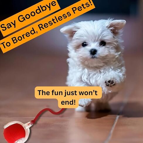 Interactive Electric Automatic Rolling Moving Rechargeable Self Play Stimulation Toy,Smart Pet Chase Ball with Speedy Tail Rope for Bored Indoor Cats Enrichment,stimulating Dogs Toy Small Dogs (Green) in Saudi Arabia