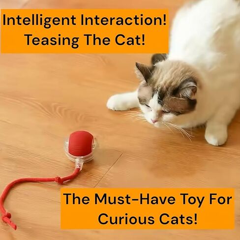 Interactive Electric Automatic Rolling Moving Rechargeable Self Play Stimulation Toy,Smart Pet Chase Ball with Speedy Tail Rope for Bored Indoor Cats Enrichment,stimulating Dogs Toy Small Dogs (Green) in Saudi Arabia