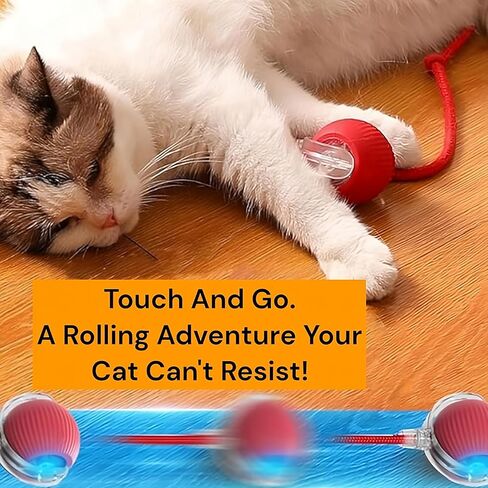 Interactive Electric Automatic Rolling Moving Rechargeable Self Play Stimulation Toy,Smart Pet Chase Ball with Speedy Tail Rope for Bored Indoor Cats Enrichment,stimulating Dogs Toy Small Dogs (Green) in Saudi Arabia