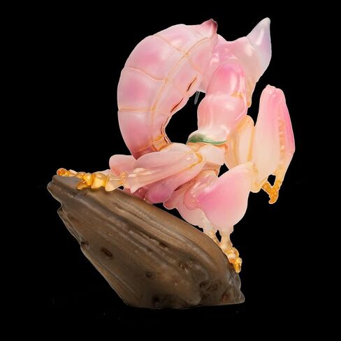 Animal Heavenly Body Series 11 حشرات السمين المصغرة - تمثال الأخطاء لديكور المكتب المنزلي ، حشرات واقعية النحت (Hymenopus coronatus - Orchid Mantis) in Kuwait
