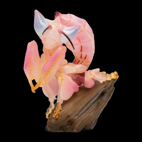 Animal Heavenly Body Series 11 حشرات السمين المصغرة - تمثال الأخطاء لديكور المكتب المنزلي ، حشرات واقعية النحت (Hymenopus coronatus - Orchid Mantis) in Kuwait