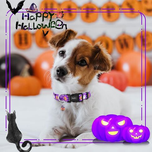 طوق الكلب الهالوين ، الياقات الكلاب اليقطين الأرجواني ، طوق جرو الخريف القابل للتعديل مع قلادة لطيفة ، طوق هالوين للحيوانات الأليفة الشاقة للكلاب الصغيرة المتوسطة المتوسطة المتوسطة المتوسطة in Kuwait