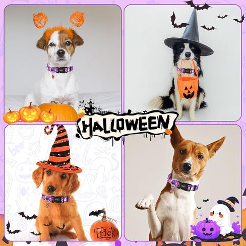 طوق الكلب الهالوين ، الياقات الكلاب اليقطين الأرجواني ، طوق جرو الخريف القابل للتعديل مع قلادة لطيفة ، طوق هالوين للحيوانات الأليفة الشاقة للكلاب الصغيرة المتوسطة المتوسطة المتوسطة المتوسطة in Kuwait