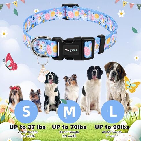 Halloween Dog Collar, Purple Pumpkin Ghost Dog Collars, Soft Adjustable Fall Puppy Collar with Cute Pendant, Heavy-Duty Halloween Holiday Pet Collar for Small Medium Large Dogs-Medium in Kuwait
