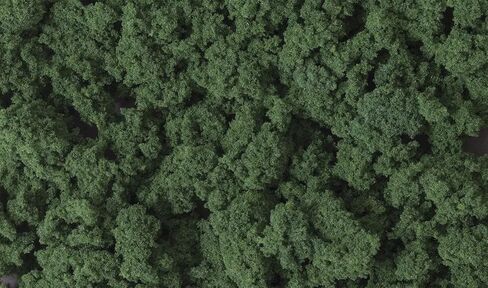 Woodland Scenics Dark Green Clump-Foliage in Saudi Arabia