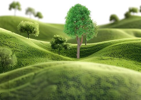 Imikeya Scenery Model Trees PCS أشجار المناظر الطبيعية الخضراء لمستلزمات النماذج المعمارية in Saudi Arabia